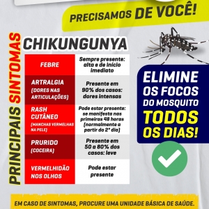 mosquito-aqui-nao-sintomas-chikungunya.jpg